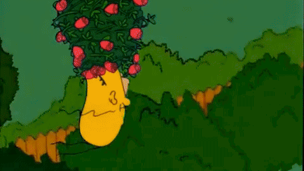 Día de los enamorados.