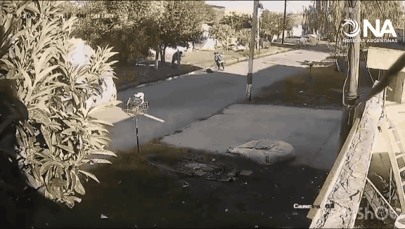 La Plata: una mujer murió atropellada por un camión de residuos que circulaba marcha atrás.