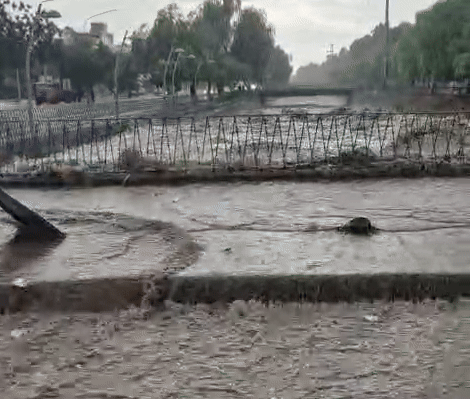 Inundaciones y miedo: los impactantes videos que dejó la fuerte tormenta en Mendoza