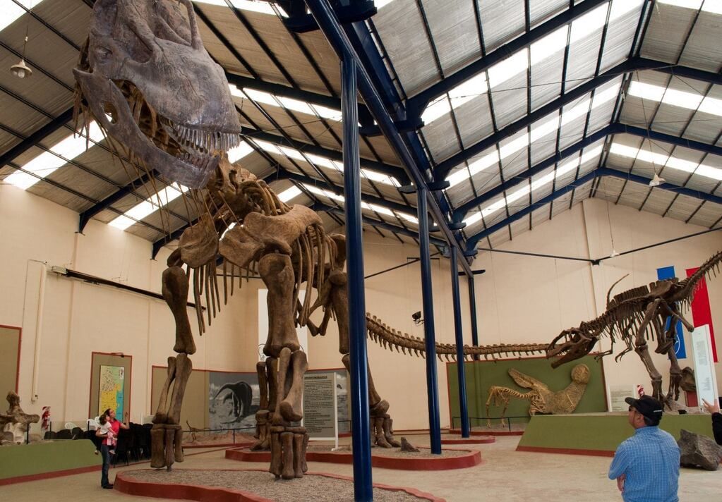 Caminando entre gigantes. Lo que fue, subsistió y es. (Gentileza: La Ruta Natural)