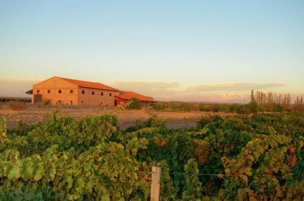 Bodega Altos las Hormigas