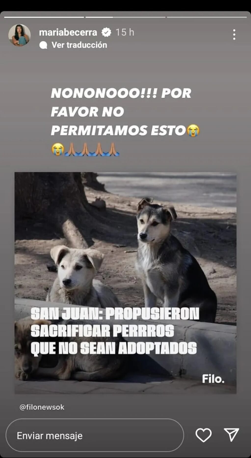 María Becerra salió a defender a los animales, en contra de la propuesta del intendente sanjuanino que quería sacrificar a los perros que no sean adoptados en 6 meses.