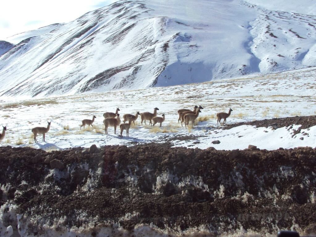 Foto del grupo de Telegram.