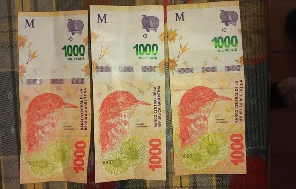 La dueña había colocado 3 mil pesos en un pantalón para atrapar a su empleada.