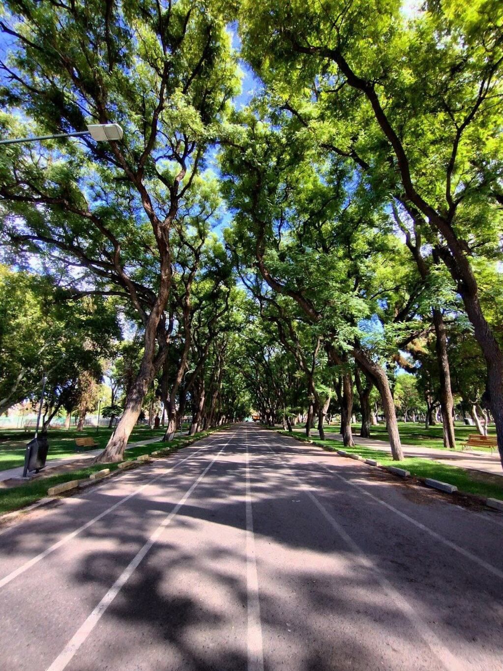 La hermosura de una típica calle sanjuanina.