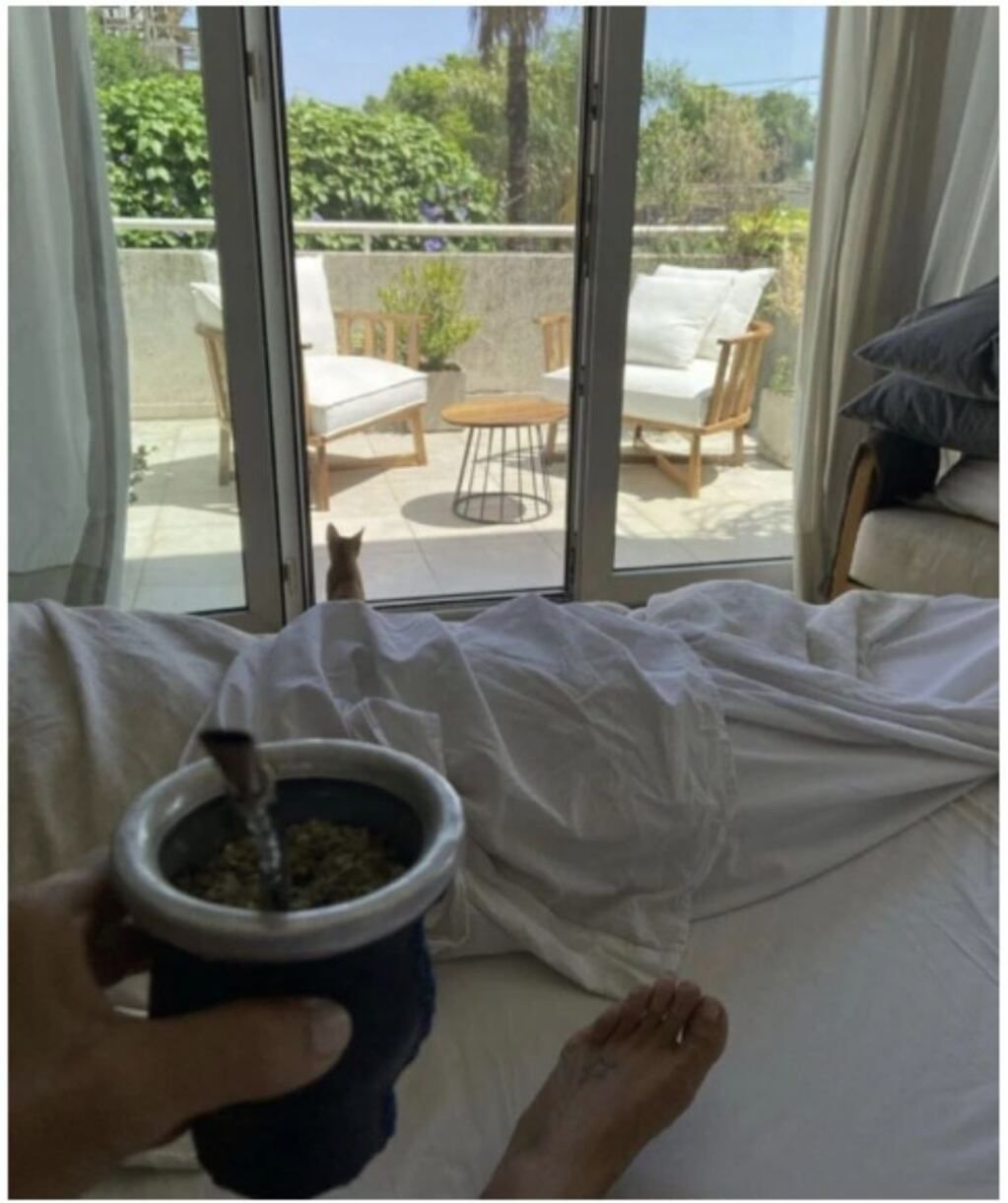 Así es la casa de Flavia Palmiero