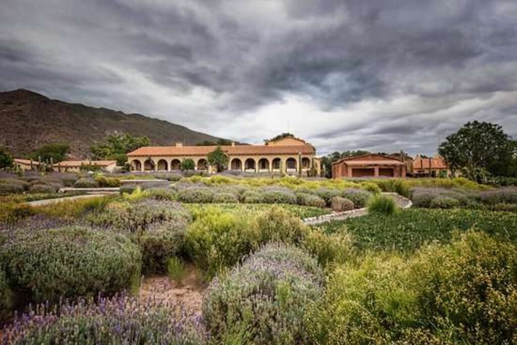 Cinco bodegas argentinas en el top 50 de las experiencias de viñedos más increíbles 