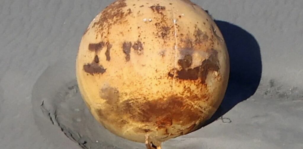 Bola en la playa de Japón.