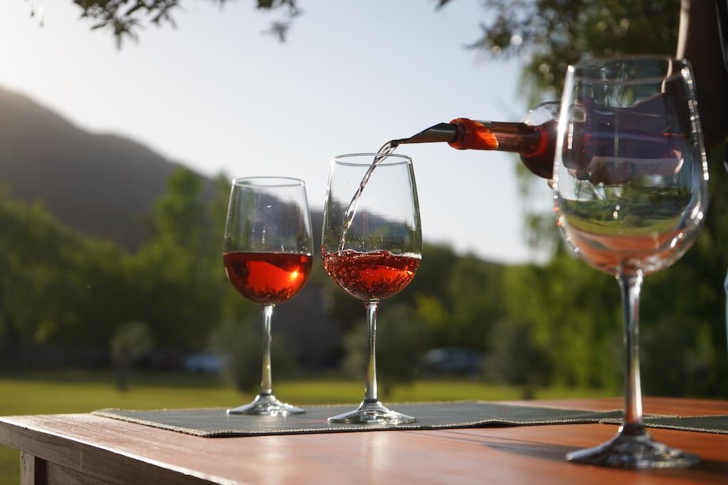 La Ruta del Vino de San Juan.