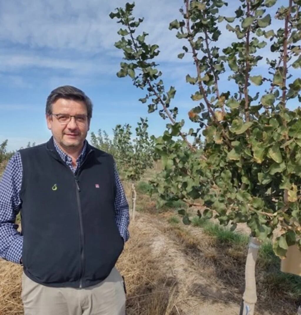 Alberto Aguilera, gerente de Producción de Solfrut, en la plantación de pistachos.