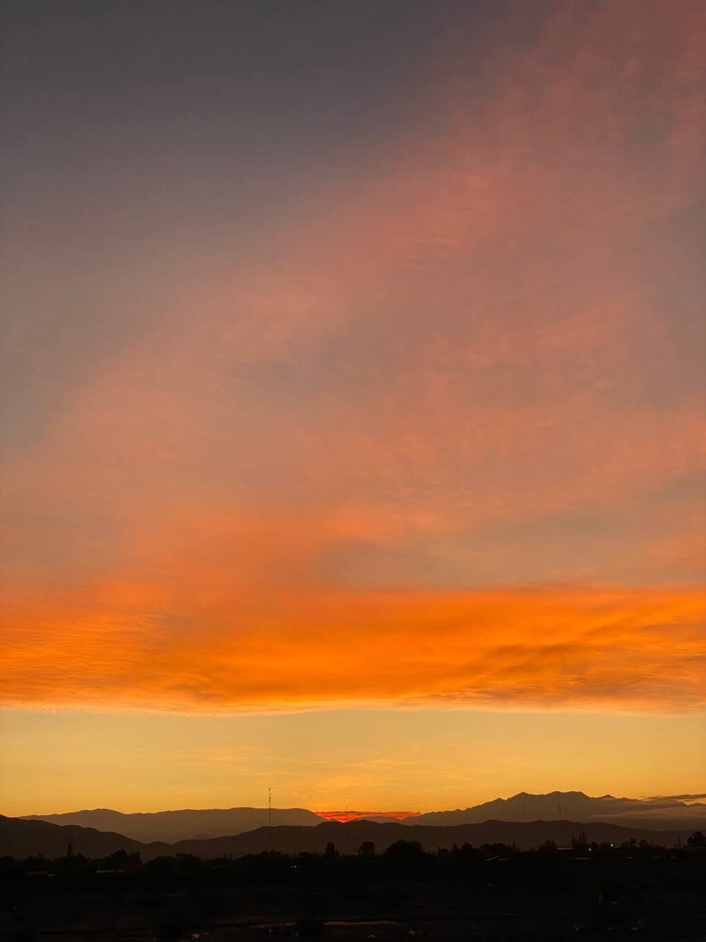 Foto del grupo de Telegram de Pocito.