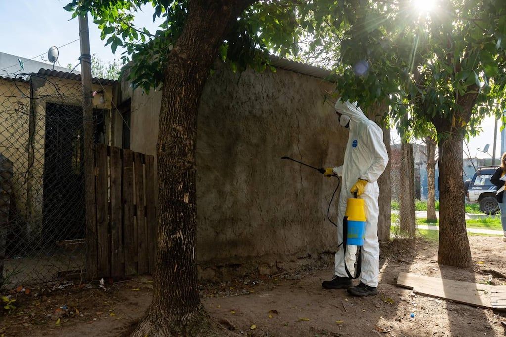 Fumigación para evitar el dengue.