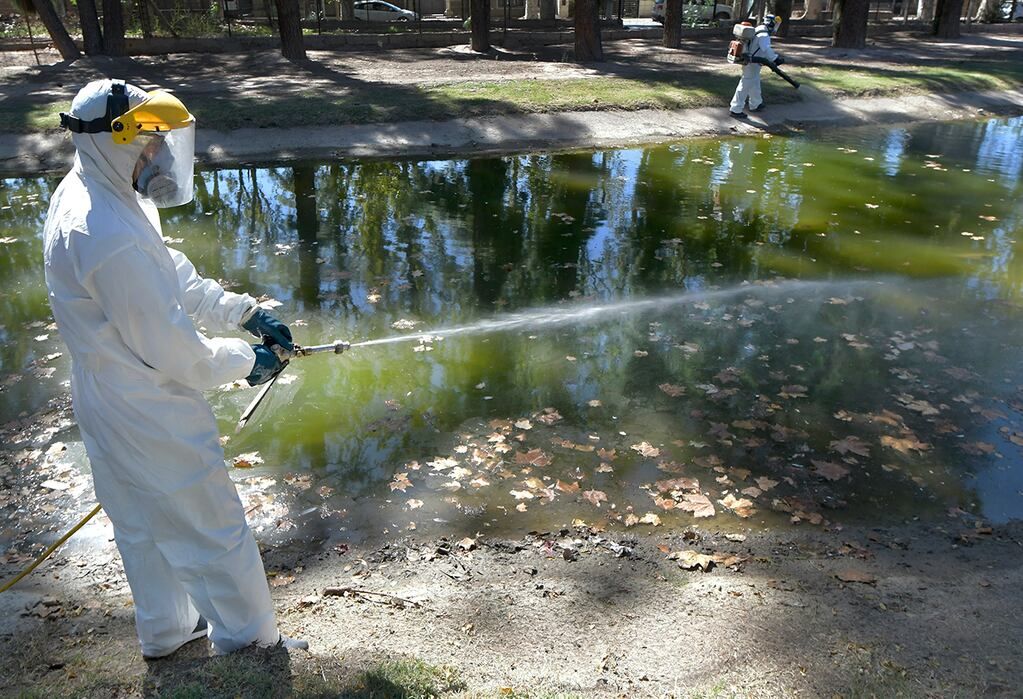 Chikungunya: confirman el primer caso exportado en Mendoza y el paciente se encuentra en buen estado. Foto: Orlando Pelichotti / Los Andes.