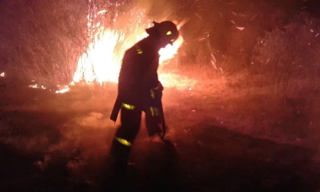 Los Bomberos Voluntarios lograron sofocar las llamas