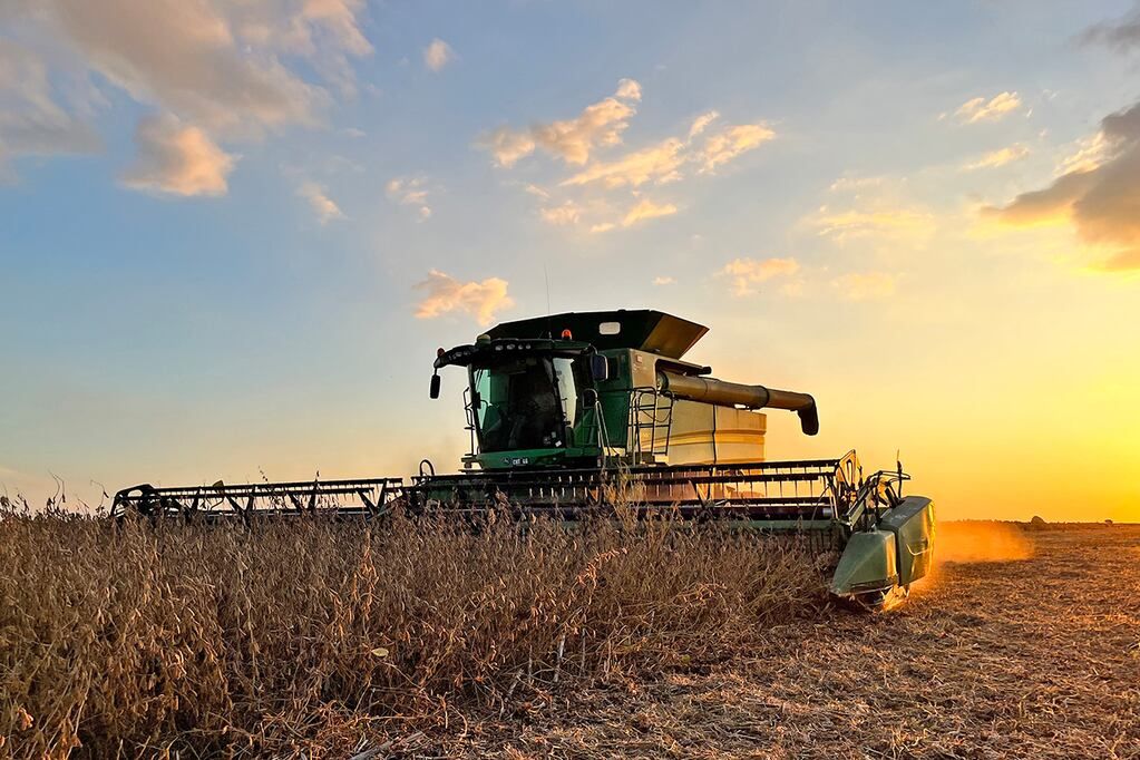 Fotografías de cosecha de soja para suplemento AgroVoz. 
Agro, cosechadora, soja, campo. (Fotos Tomy Fragueiro/La Voz)