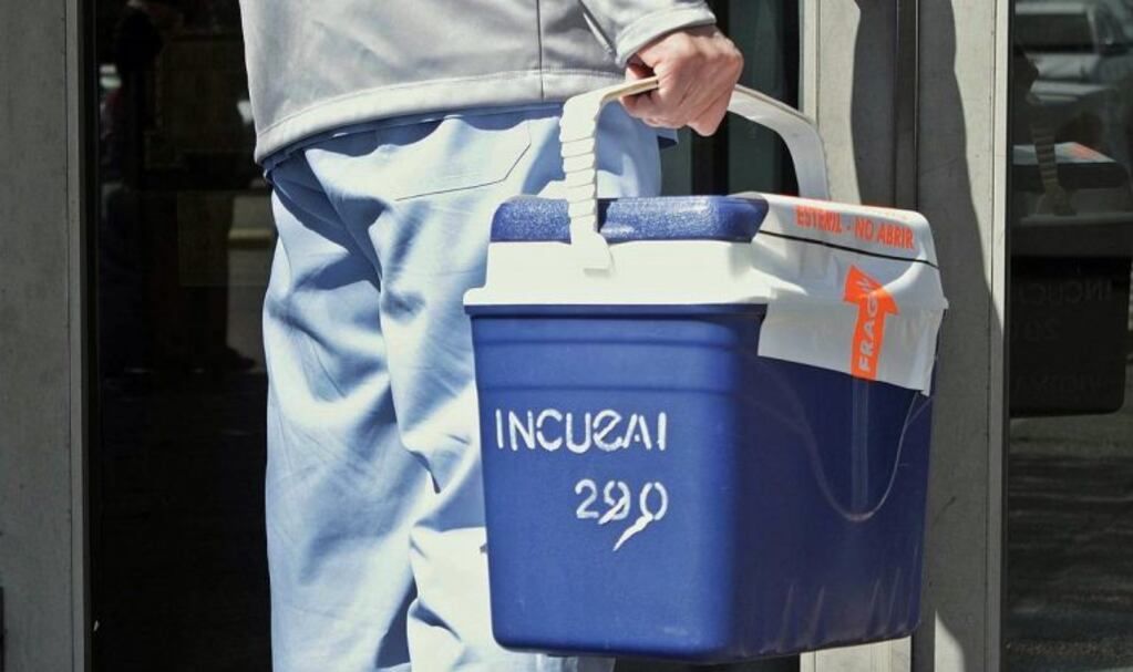 Imagen ilustrativa\u002E Incucai\u002E