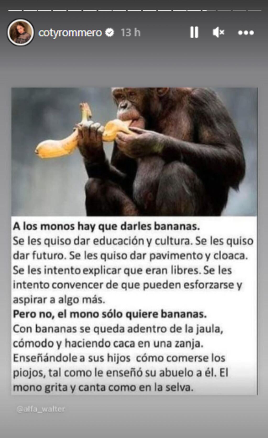 Las historias que compartió Coti Romero en su cuenta de Instagram. Foto: captura.