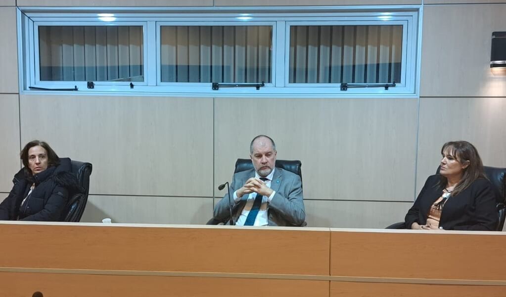 Los magistrados Paula Marisí, Alberto Carelli y Gretel Diamante fueron los integrante del tribunal de juicio. Los dos primeros son de la provincia de Mendoza y su colega, de San Luis.