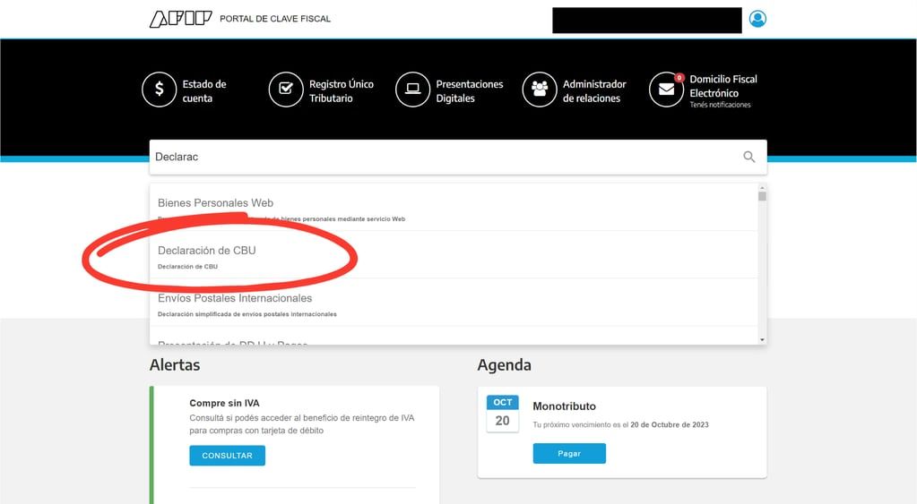 Cómo hacer la declaración del CBU.