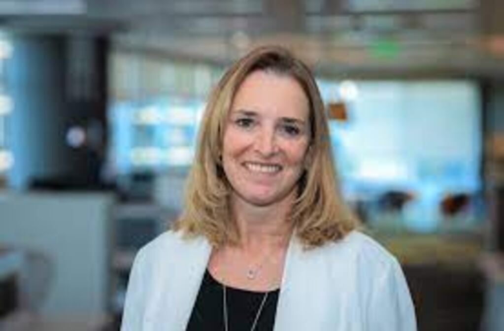 Mariana Irigarne, gerenta institucional de YPF Luz,