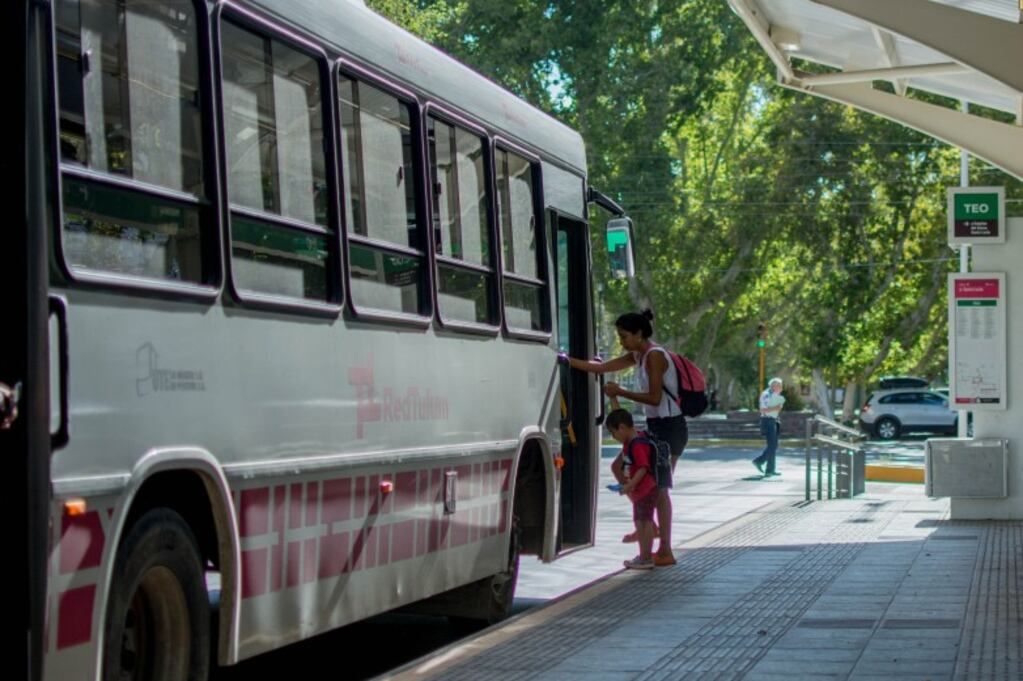 Los micros llegarán a Ischigualasto