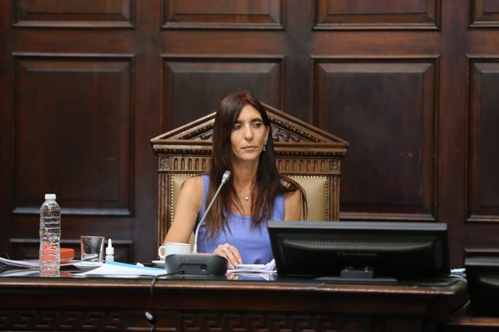 La senadora Natacha Eisenchlas, presentó un proyecto para saber qué sucedería con el servicio del tren.