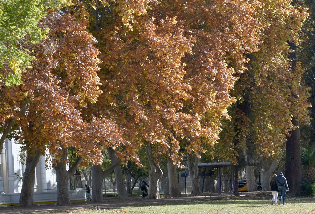 Los días de otoño tienen temperaturas variadas. 
Foto: Orlando Pelichotti - Los Andes