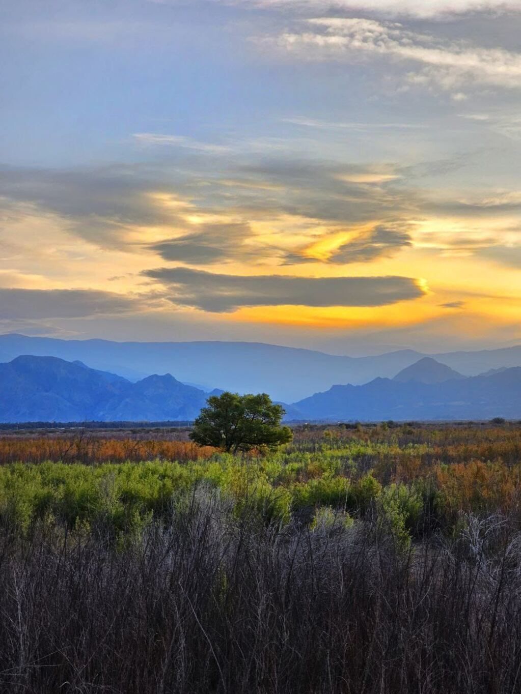 Foto del grupo de Telegram.