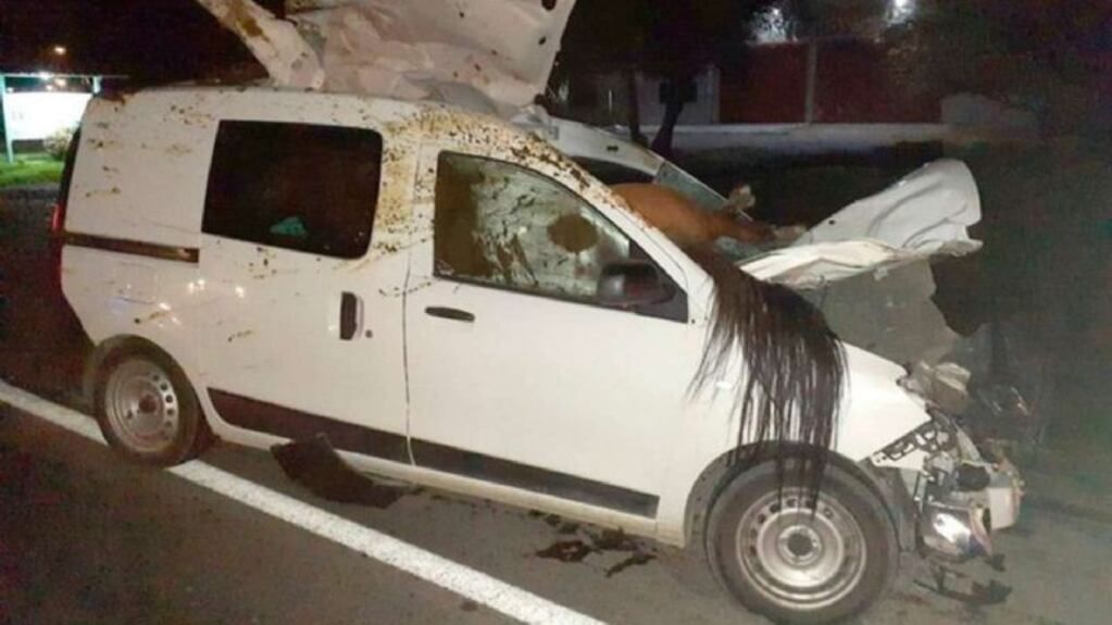 Imagen Ilustrativa. Foto: Web