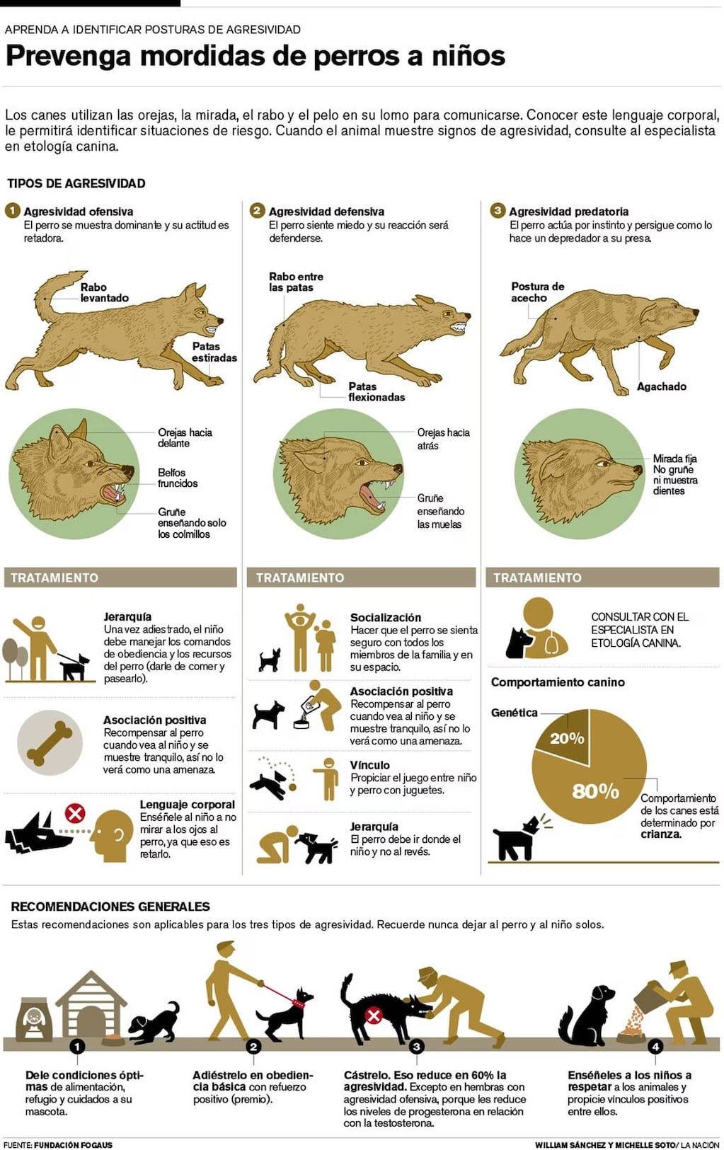Prevención mordedura de perro