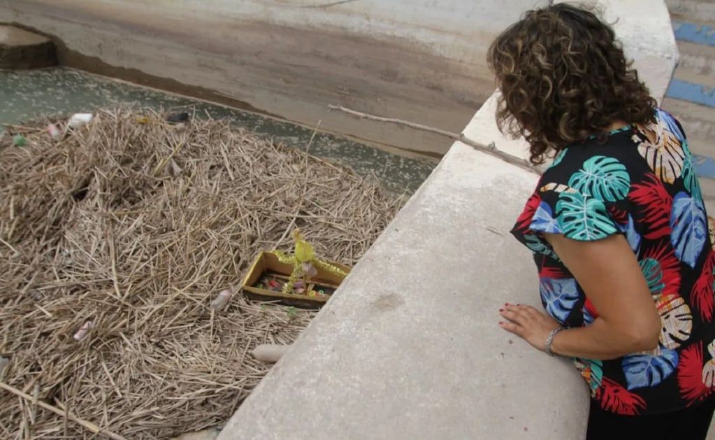 Preocupación en San Juan por los gualichos en un dique - Gentileza / Diario de Cuyo