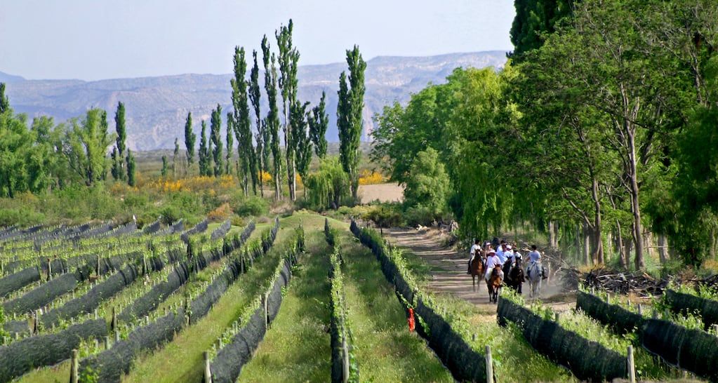 Algodon Wine Estate. - Gentileza