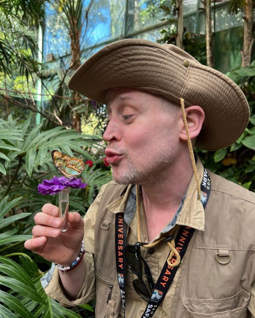 Así luce hoy Macaulay Culkin