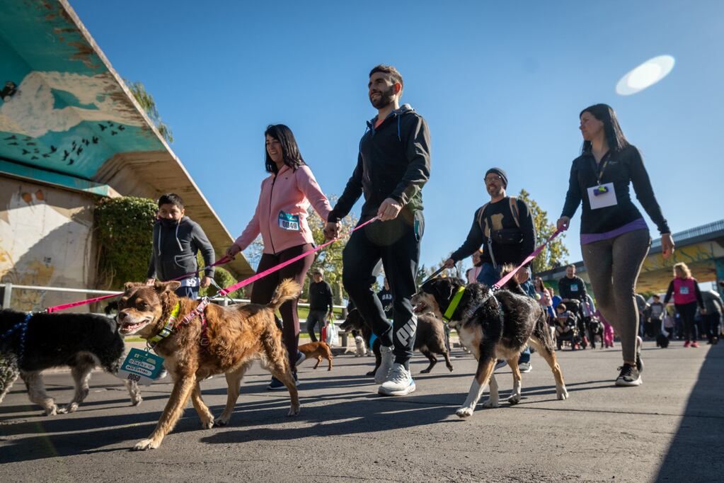 Imagen ilustrativa. / Foto: Ignacio Blanco / Los Andes 