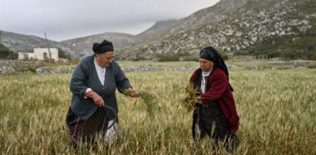 En el norte de la isla de Cárpatos se encuentra el pueblo de Olympos, una comunidad que acoge una de las pocas sociedades matriarcales.
