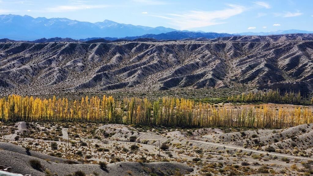 Foto del grupo de Telegram.