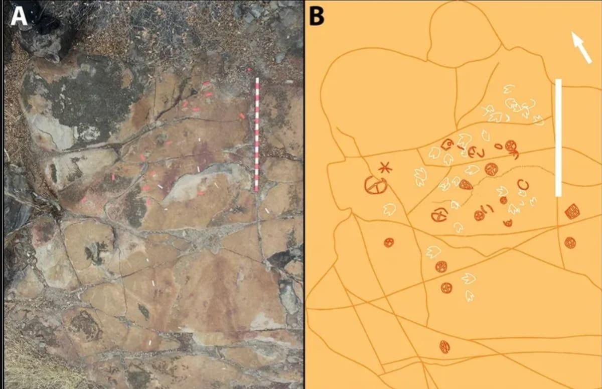 Fuente de la imagen: Scientific Reports