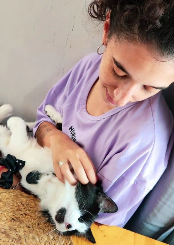 Recorrieron el país tatuando a “El Diego”, pero volvieron a casa para sumar a un tercer pasajero: su gatito. Foto: Instagram @viendoquepinta