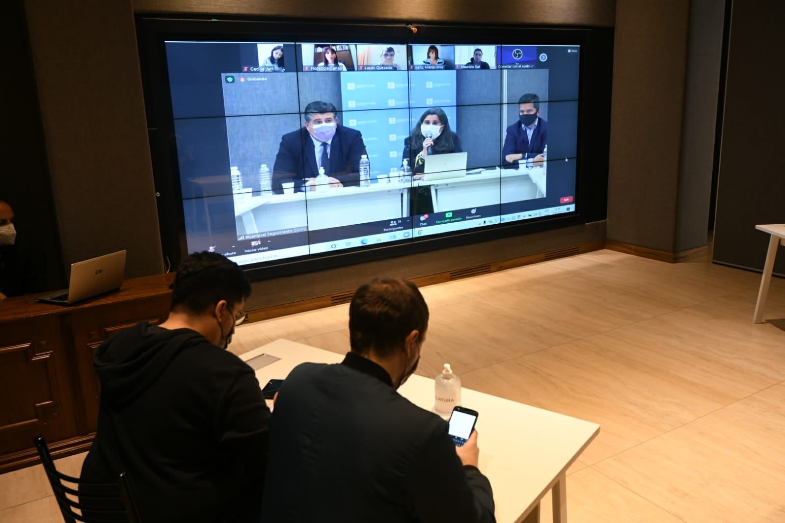 La ministra de Salud de Mendoza, Ana María Nadal, explica en la Legislatura la demora en la carga de muertos por Covid-19.