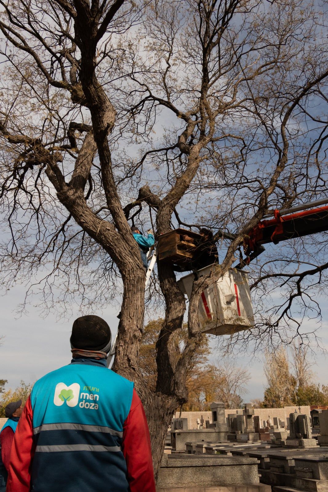 La Ciudad finalizó la segunda etapa del proyecto piloto de control biológico de especies plagas.
