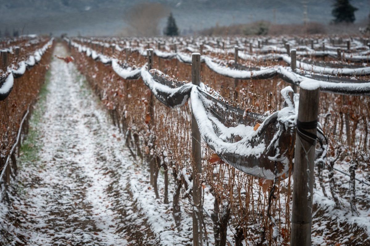 Foto: Ignacio Blanco / Los Andes