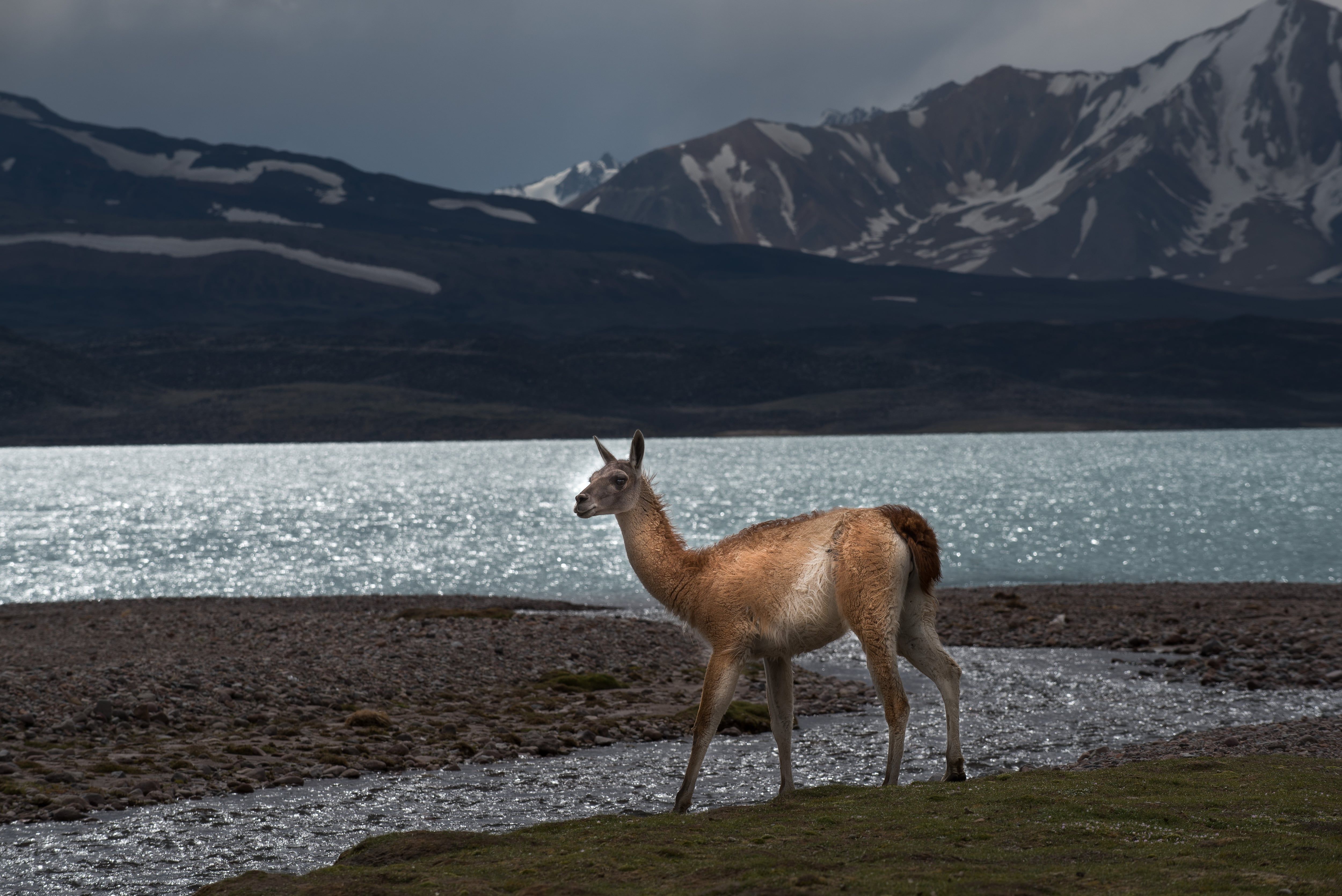 Laguna del Diamante. Prensa Gobierno