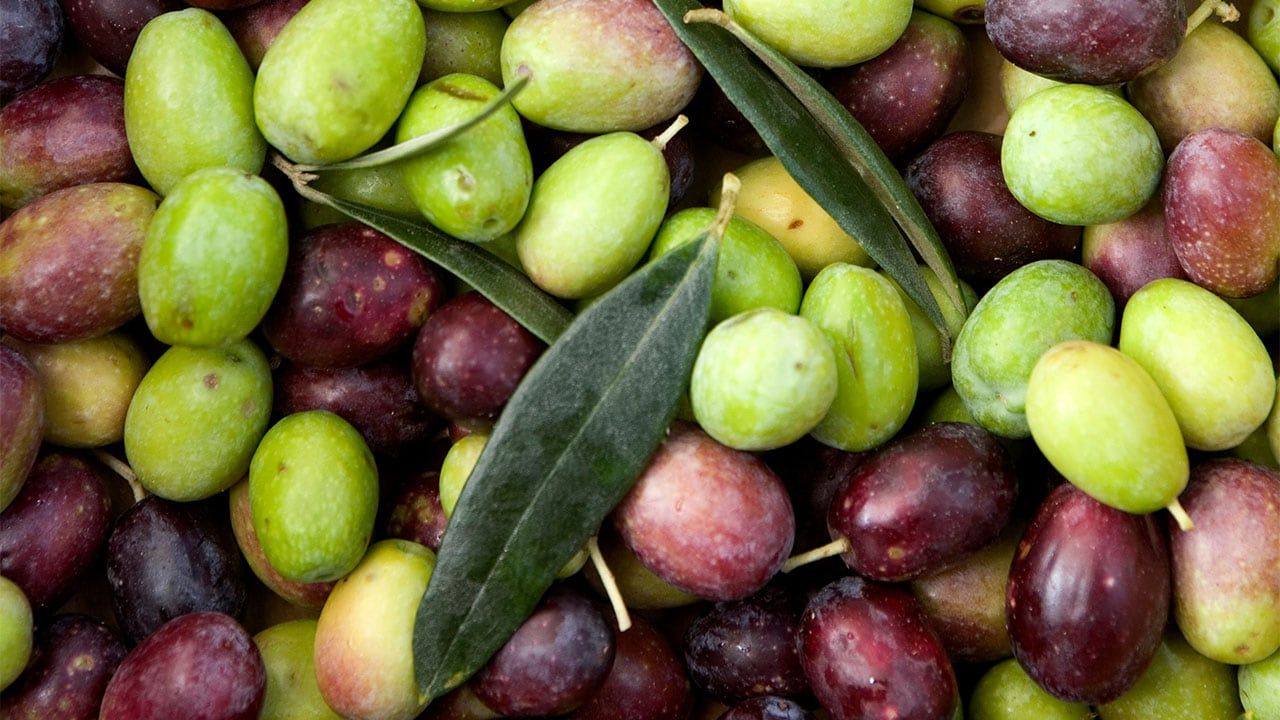 A la actividad física hay que acompañarla con alimentación consciente.