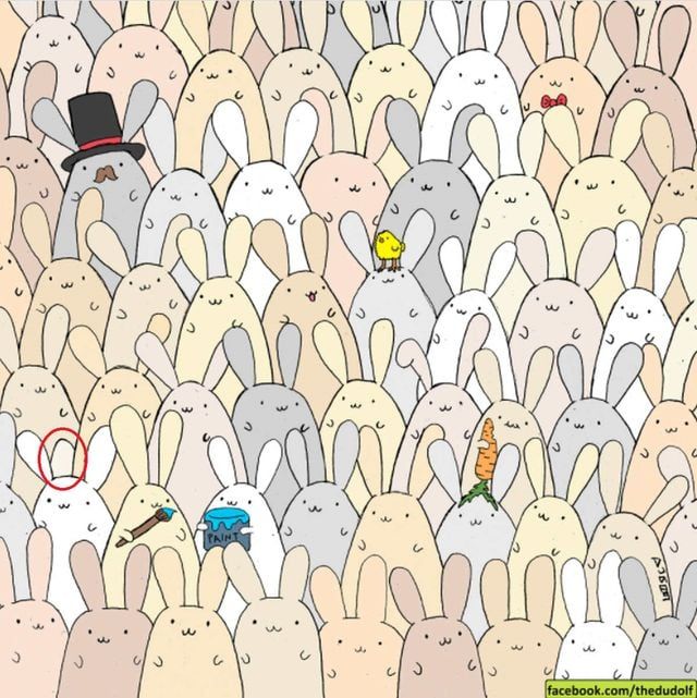 Aquí está la solución al desafío