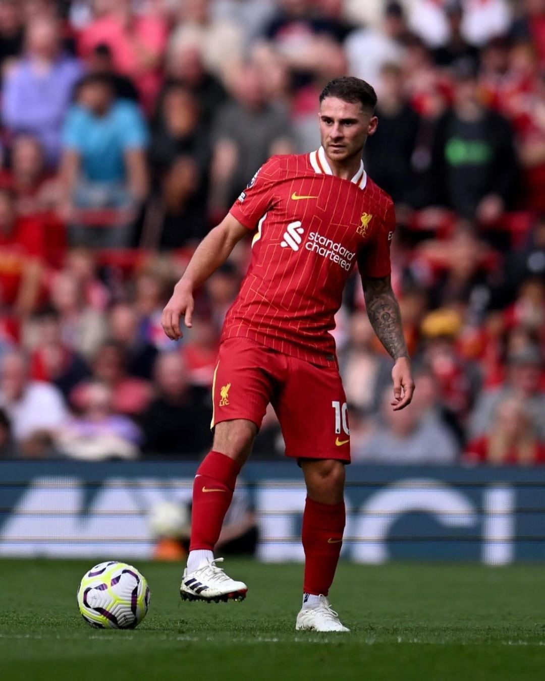 Alexis Mac Allister, figura del Liverpool