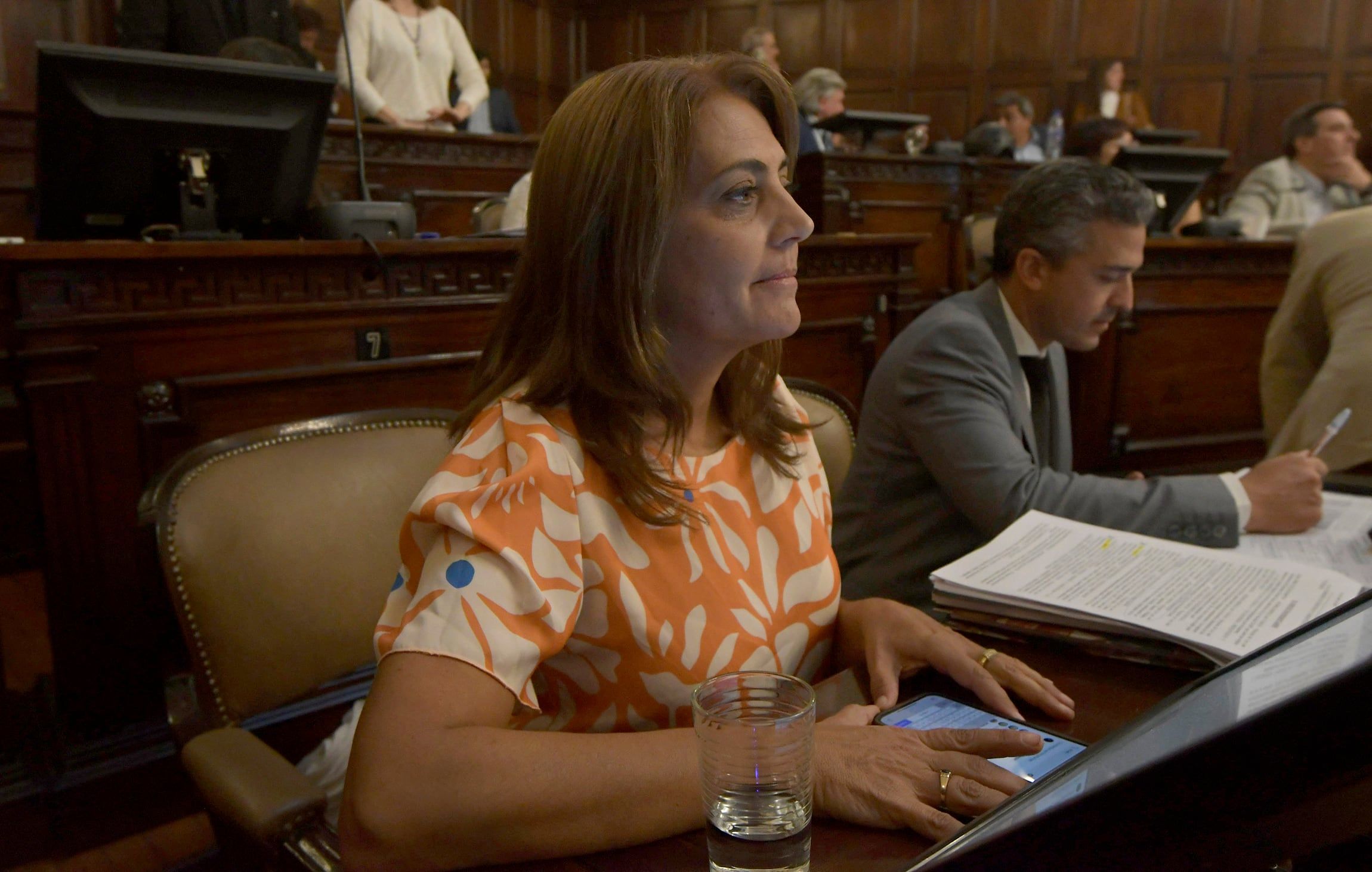 Sesión de la Honorable Cámara de Senadores de Mendoza, en la Legislatura Provincial Graciela LizanaFoto: Orlando Pelichotti