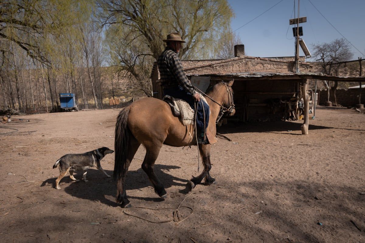 Paulino Canales, Don Lino, llega al puesto Don Pedro después de llevar a los animales al campo. Foto: Ignacio Blanco / Los Andes
