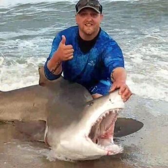 Un grupo de pescadores sometió a un tiburón y le dio cerveza.