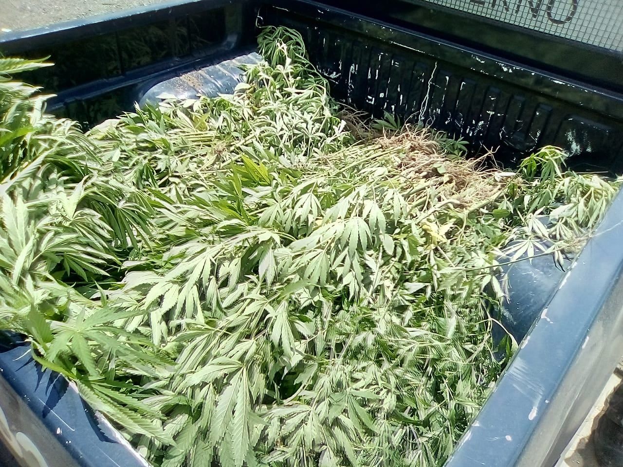 El secuestro. Gentileza/Ministerio de Seguridad