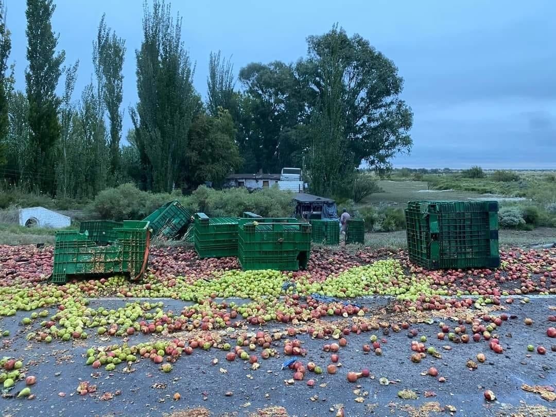 El choque entre un camión y un colectivo dejó tres muertos y 20 heridos en General Alvear. | Foto: Ministerio de Seguridad y Justicia